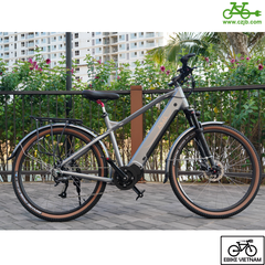 COMBO PIN SƯỜN ĐỘNG CƠ CZJB 48V750W TORQUES SENSOR