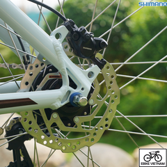 THẮNG DẦU SHIMANO MT200