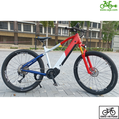 COMBO PIN SƯỜN ĐỘNG CƠ CZJB 48V750W TORQUES SENSOR