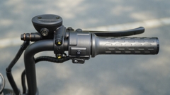 XE MÁY ĐIỆN HONDA DAX E