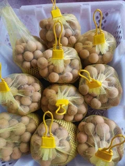 Longan