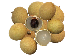 Longan