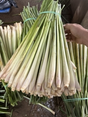 Lemongrass