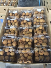 Longan