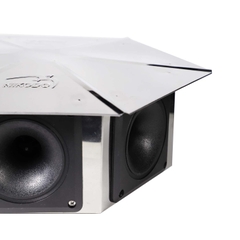 LOA DÙ 6 GIÁC AX96 6D - INOX 304 MỜ