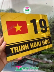 Bảng Số Nhà HÌNH LÁ CỜ VIỆT NAM ALU IN UV - BSN019