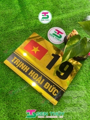 Bảng Số Nhà HÌNH LÁ CỜ VIỆT NAM ALU IN UV - BSN019