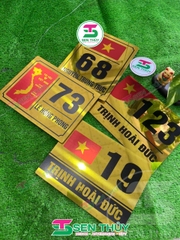 Bảng Số Nhà HÌNH LÁ CỜ VIỆT NAM ALU IN UV - BSN018