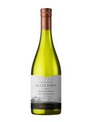 CASTILLO DE MOLINA RESERVA SAUVIGNON BLANC,Sauvignon Blanc