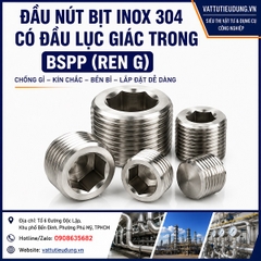 ĐẦU NÚT BỊT INOX 304 CÓ ĐẦU LỤC GIÁC TRONG  BSPP (REN G)