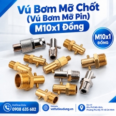 Vú Bơm Mỡ Chốt (Vú Bơm Mỡ Pin) M10x1 Đồng