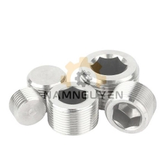 Ốc Bịt Ren Ngoài Inox 304 Hệ Mét Lục Giác Trong
