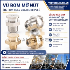 Vú Bơm Mỡ Nút ( Button head grease nipple )