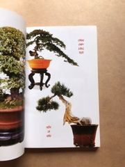 180 Dáng BONSAI Đặc Sắc