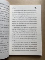 Chuyện Con Mèo Dạy Hải Âu Bay