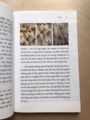 Thiền - Osho