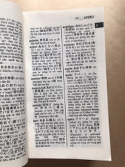 Từ điển Nhật - Việt,  Việt - Nhật