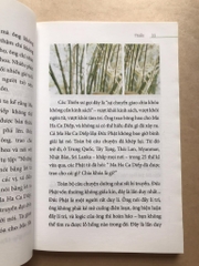 Thiền - Osho