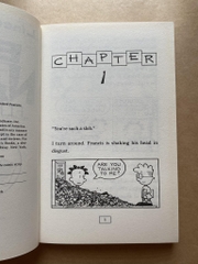 [ Big Nate ] Flips out