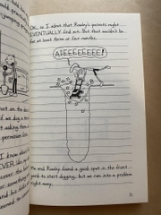 Diary of a Wimpy Kid 3 - The Last Straw