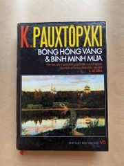 Bông hồng vàng và bình minh mưa