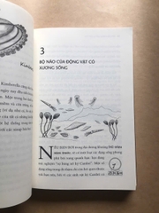 Não Bộ Không Ngừng Tiến Hóa: Trí Thông Minh Của Bạn Đến Từ Đâu?