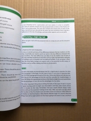 Ielts Writting: Step By Step