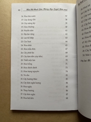 Kỹ Thuật Trồng Các Loại Cây Cảnh