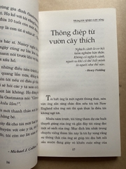 Hạt Giống Tâm Hồn - Tập 11 - Những Trải Nghiệm Cuộc Sống