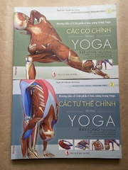 Combo sách các cơ chính trong Yoga + các tư thế chính trong Yoga