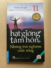 Hạt Giống Tâm Hồn - Tập 11 - Những Trải Nghiệm Cuộc Sống