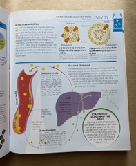 How Food Works - Hiểu Hết Về Thức Ăn