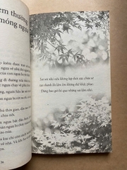 Hạt Giống Tâm Hồn – Tập 13: Cách Nghĩ Quyết Định Hướng Đi