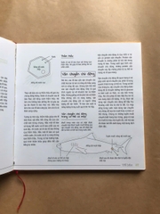 Sơ Đồ Tư Duy Sinh Học ( Mind Map Biology )
