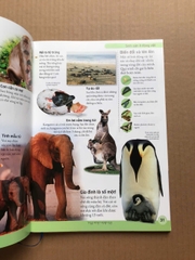 Bách Khoa Khoa Học