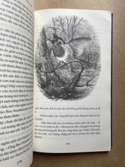 Khu Vườn Bí Mật