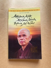 Không Diệt Không Sinh Đừng Sợ Hãi