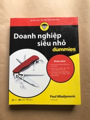 Doanh Nghiệp Siêu Nhỏ For Dummies