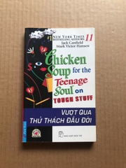 Chicken Soup For The Soul 11 - Vượt Qua Thử Thách Đầu Đời