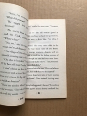 Beast Quest : Ferno the Fire Dragon