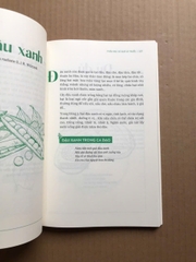 Cây Thuốc Quanh Em - Sức Mạnh Chữa Lành Từ Cây Cỏ