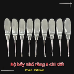 Bộ bẩy nhổ răng 9 chi tiết