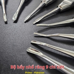 Bộ bẩy nhổ răng 9 chi tiết