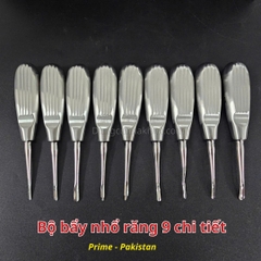 Bộ bẩy nhổ răng 9 chi tiết