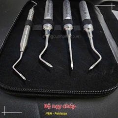 Bộ dụng cụ nạy chóp chân răng Parkistan (Nạy roottip)