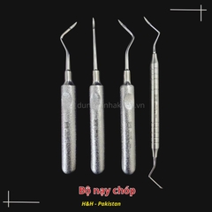 Bộ dụng cụ nạy chóp chân răng Parkistan (Nạy roottip)