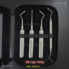 Bộ dụng cụ nạy chóp chân răng Parkistan (Nạy roottip)