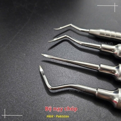 Bộ dụng cụ nạy chóp chân răng Parkistan (Nạy roottip)