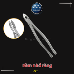 Kềm nhổ răng cho người lớn Extraction Forcep Osung - America type(Cây)
