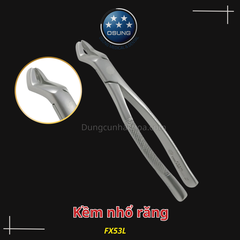 Kềm nhổ răng cho người lớn Extraction Forcep Osung - America type(Cây)